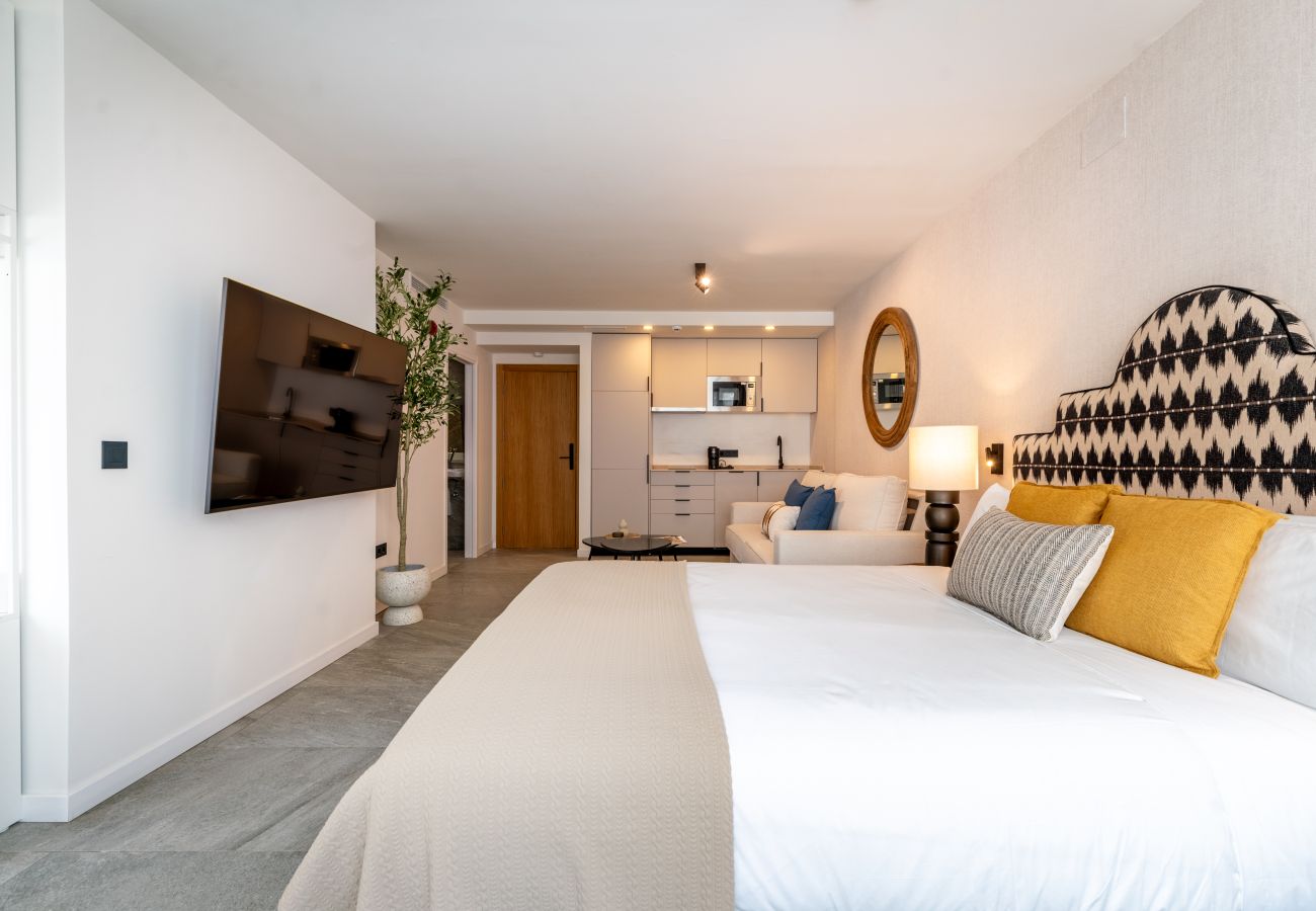 Estudio en Sevilla - 202